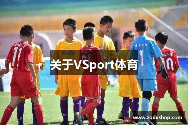 关于VSport体育